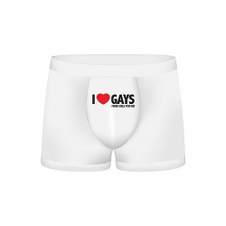 FUNNY BOXERS I LOVE GAYS...